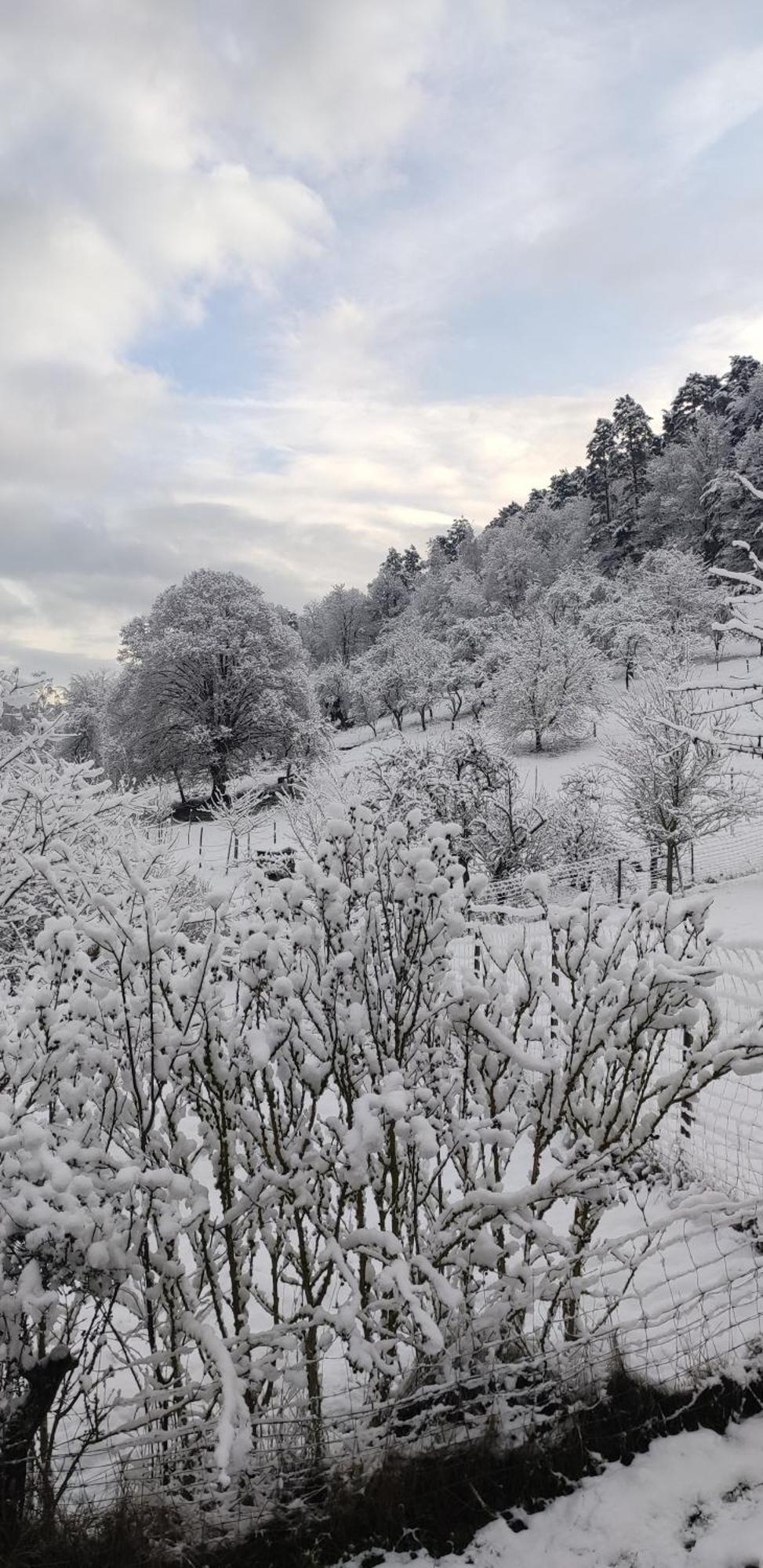 Appartement Douillet Avec Vue Sur Les Montagnes Fouchy Dış mekan fotoğraf