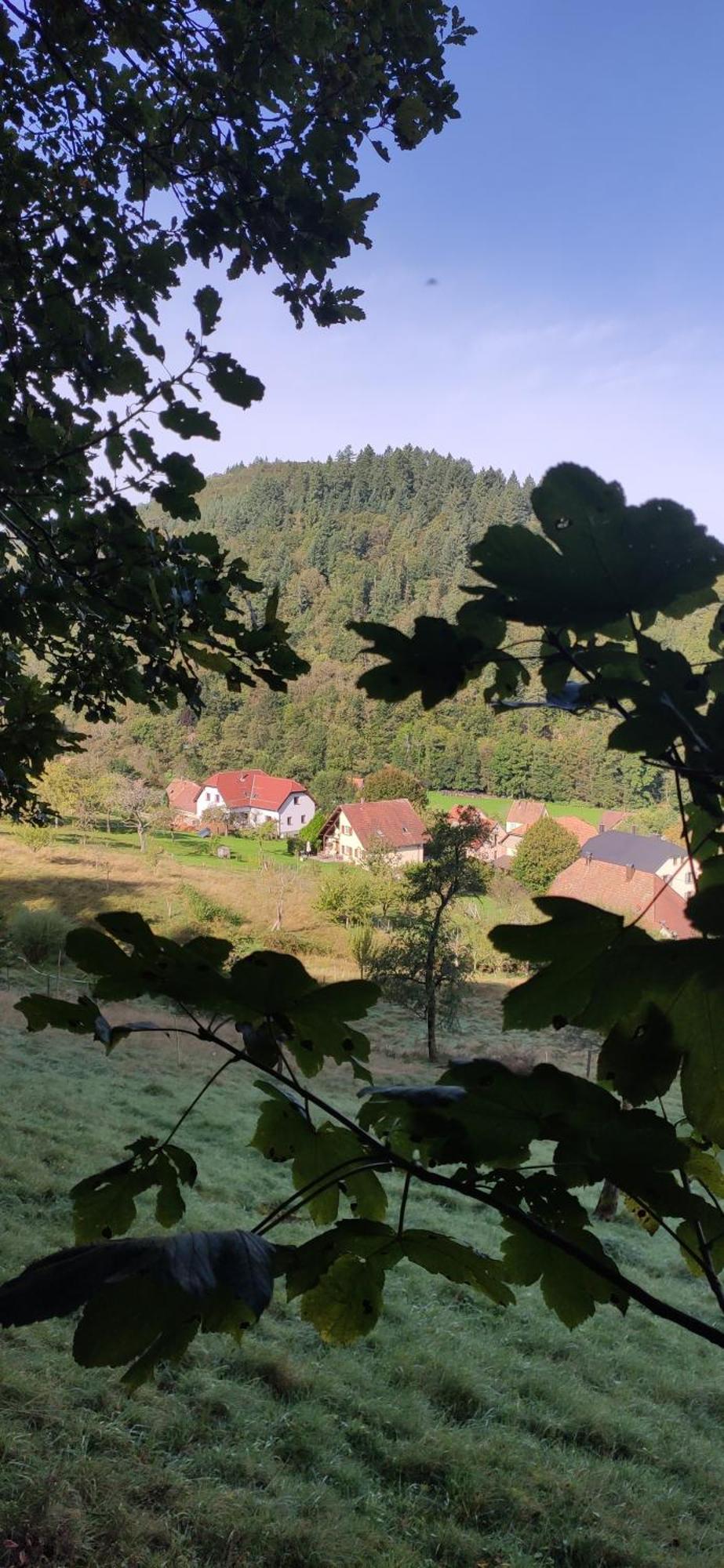 Appartement Douillet Avec Vue Sur Les Montagnes Fouchy Dış mekan fotoğraf